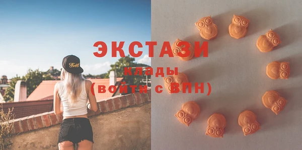 дживик Верхний Тагил
