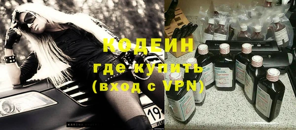 дживик Верхний Тагил
