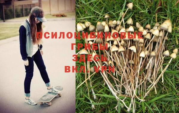 дживик Верхний Тагил