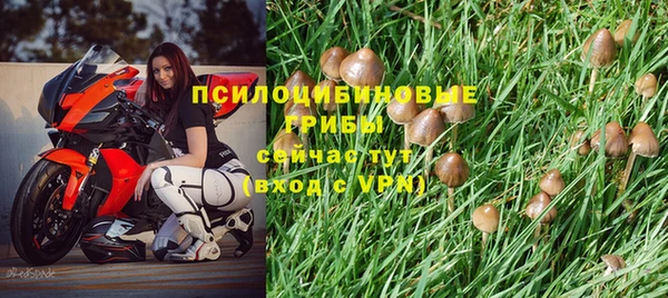 дживик Верхний Тагил