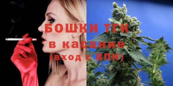 дживик Верхний Тагил