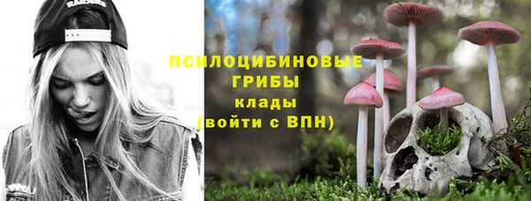 дживик Верхний Тагил