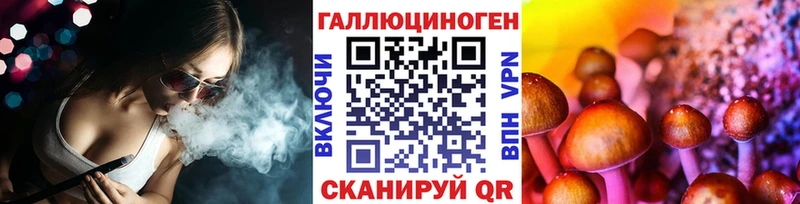 Псилоцибиновые грибы Psilocybe  Купить где  Куйбышев 